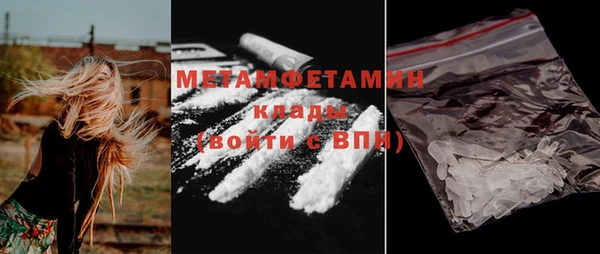 индика Елабуга
