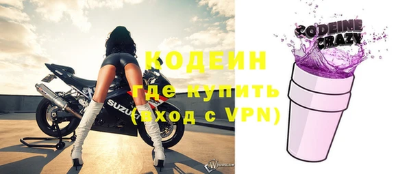 шишки Елизово