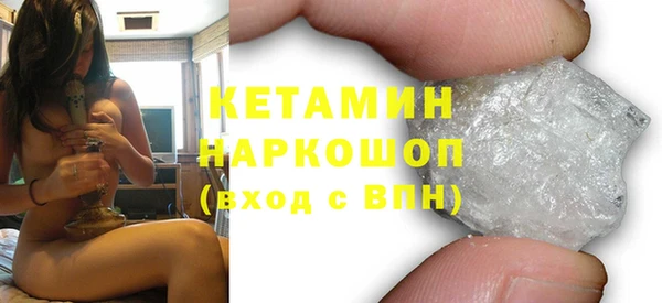 индика Елабуга