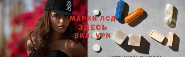 индика Елабуга