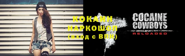 первитин Ельня