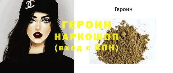 индика Елабуга