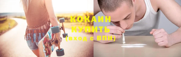 индика Елабуга