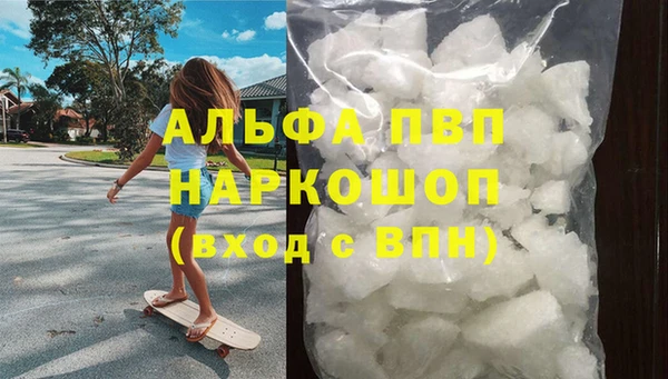 индика Елабуга