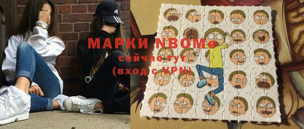 шишки Елизово