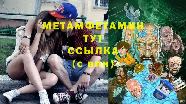 индика Елабуга