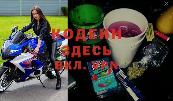 шишки Елизово