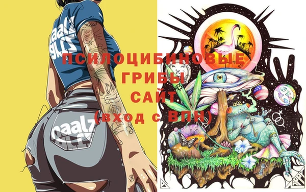 первитин Ельня