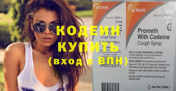 шишки Елизово