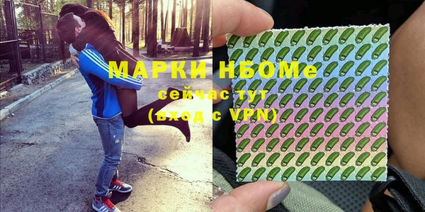 индика Елабуга