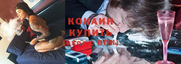 шишки Елизово
