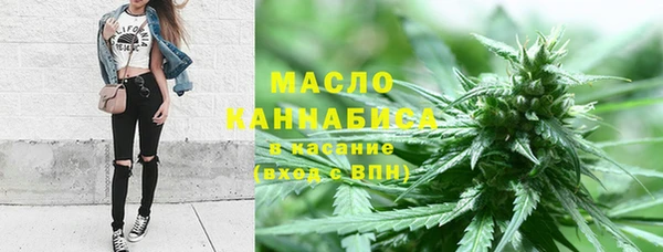 шишки Елизово