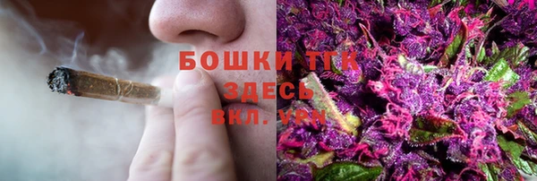 индика Елабуга
