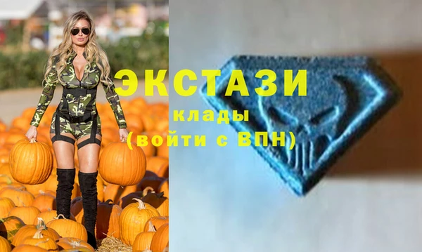 индика Елабуга