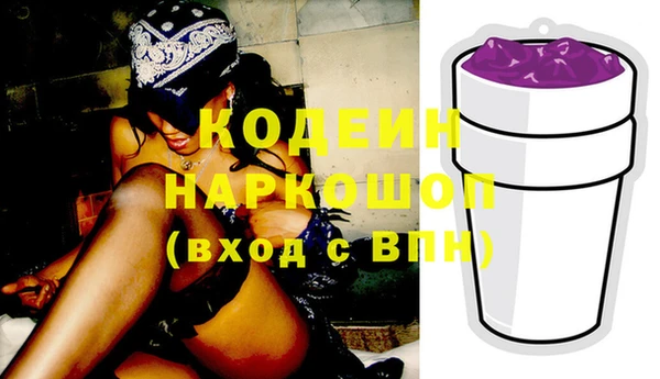 шишки Елизово