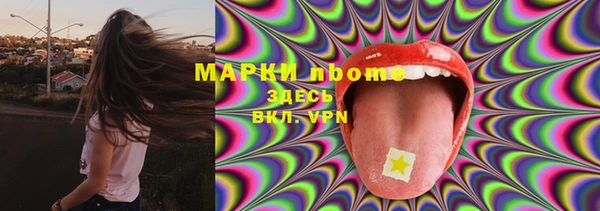 индика Елабуга