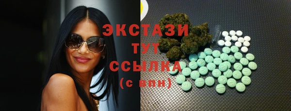 индика Елабуга