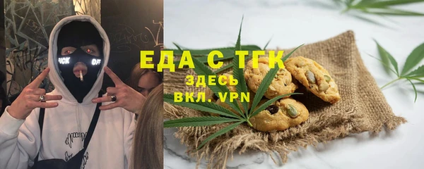 индика Елабуга
