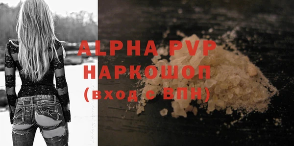 индика Елабуга